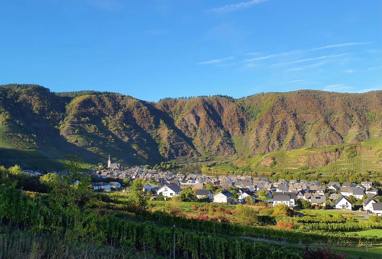 Attraktive Wohnung-Elztalidyll-Zwischen Mosel,Nuerburgring Und Burg Eltz Kollig Εξωτερικό φωτογραφία